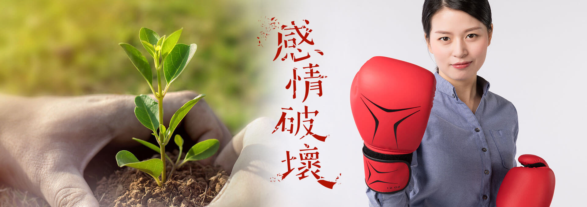 細膩探索人性曲折　嚴格制定破壞策略-破壞．重塑-專業感情破壞事務所